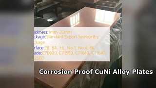 CuNi 90 10 और 70 30 मिश्र धातु प्लेटें संक्षारण प्रतिरोधी