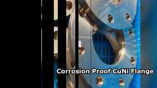 CuNi 70/30 निकला हुआ किनारा रासायनिक उपयोग