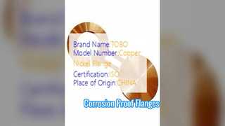 स्पेक्टैकल फ्लैंज कॉपर निकेल 90/10 फोर्ज्ड